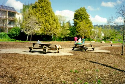 OhloneTourPic6.jpg (42934 bytes)