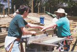 2cuttingwood_s.jpg (8684 bytes)