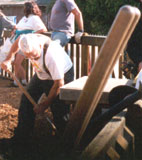 2dandean_s.jpg (8943 bytes)