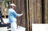 2dragonstart_s.jpg (7567 bytes)