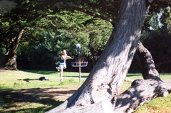 DiscGolfSmall.jpg (28383 bytes)