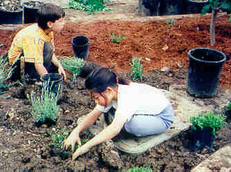 ChildrenPlanting.JPG (14953 bytes)