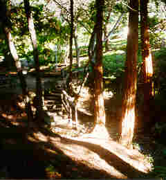 path.jpg (8590 bytes)